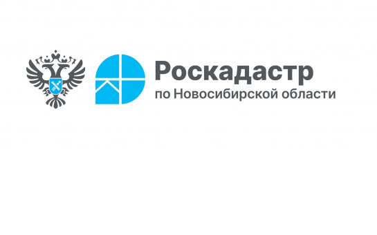   Спрос на сведения ЕГРН среди жителей Новосибирской области увеличился в два раза